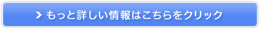 KV[NGXfUC̔TCg
